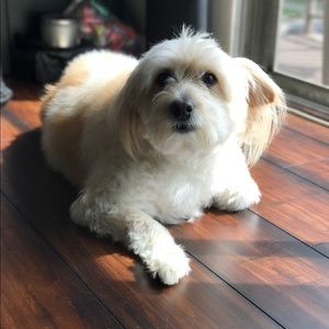 Meet your Posher, Cherly